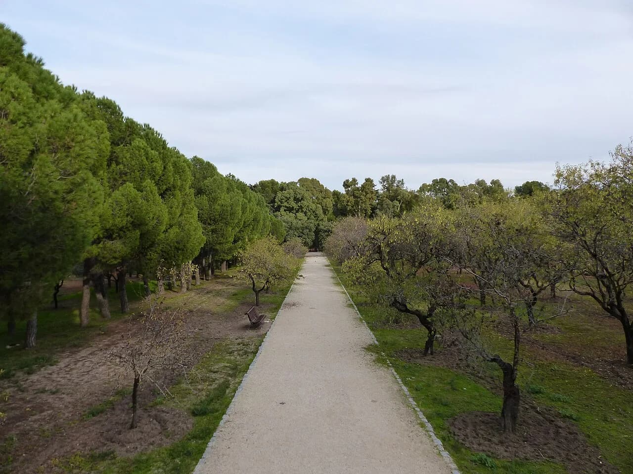 Fuente del Berro - Madrid