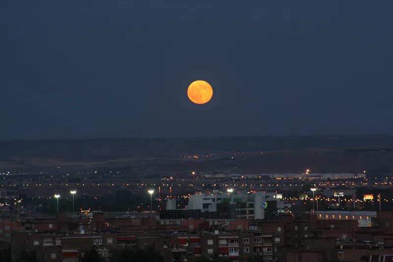 Alameda de Osuna - Madrid