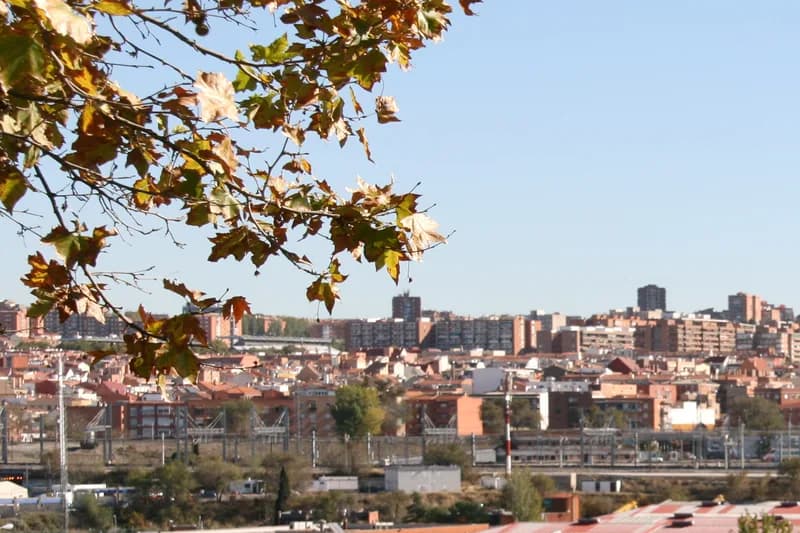 San Diego - Madrid